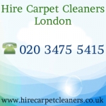 Hirecarpetcleaner1 Hirecarpetcleaner1