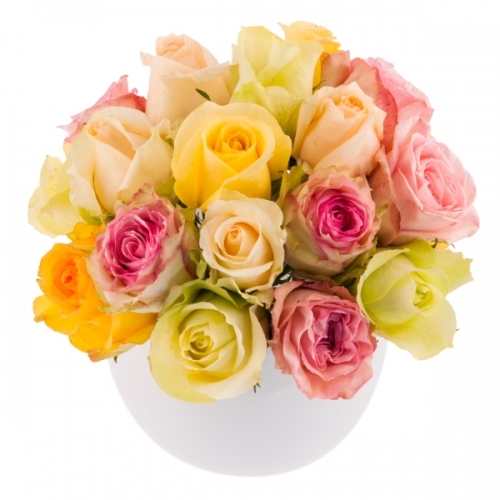 A Pastel Colour Rose dome - to order for delivery on our website