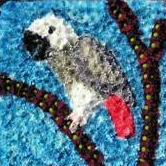 Parrot 01
