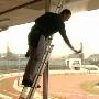 Colins Window Cleaning