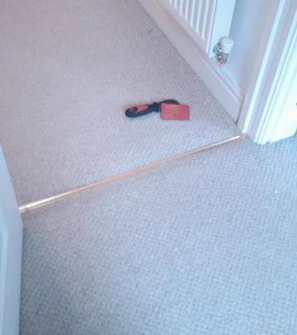 Pet damage carpet repair