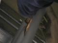 http   www touchlocal com business list bid 7155084 With more than 30 years  experience in oil and gas heating systems in commercial and domestic properties  Tony Stockton Heating can advise you on the most economic way to heat your building and swim