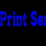 My Logo 2013
