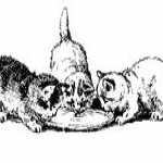 Logo Logo