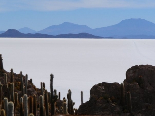 Uyuni Salt Flats, and Cactus Island, Bolivia