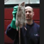Contract Killers Pest Control Ltd - pest service