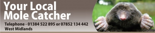 Your Local Mole Catcher