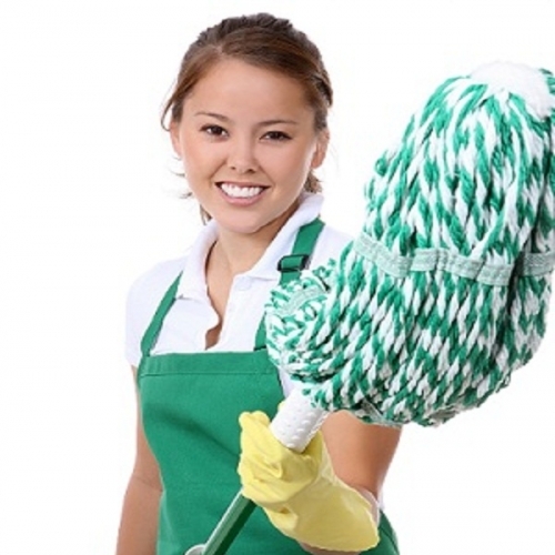 Professional Cleaners London