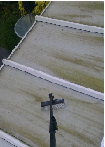 Roof Before