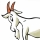 Tiny Goat B