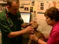 Veterinary Surgery - your local, independent, caring vets. Come and meet our dedicated team of caring, professional vets, nurses and receptionists. We are an independent practice and we look after your beloved pets just as you wish. Own car park, pur