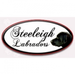 Logo Logo