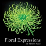 Floral Expressions - florists