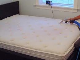 clean bed.free promite with every clean No more dust mites for 14 months