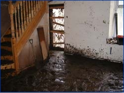 Flood Restoration Page