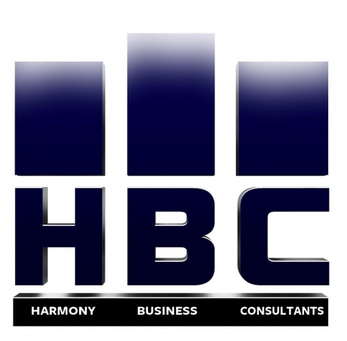 Business Consultants and Advisory Services