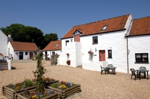 Celtic Haven's charming courtyard of converted cottages...