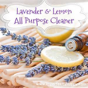 Aromatherapy Cleaning