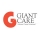 Giant Care Solutions Ltd