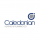 Caledonian Heating & Plumbing Ltd