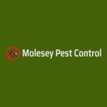 Molesey Pest Control