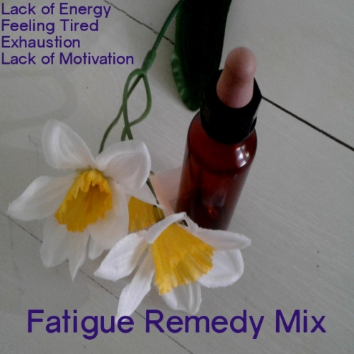 Bach Flower Remedy - Fatigue