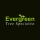 Evergreen Tree Specialist
