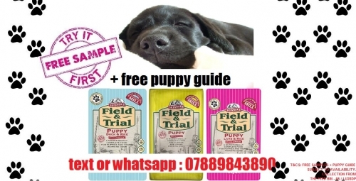 Skinners Puppy Dog Free Sample & Guide