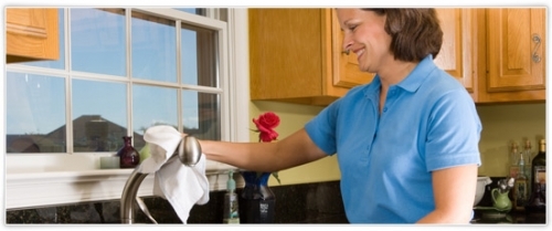 Domestic Cleaning1