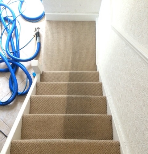Dirty Beige Stairs Carpet In Process Of Cleaning Huge Differance