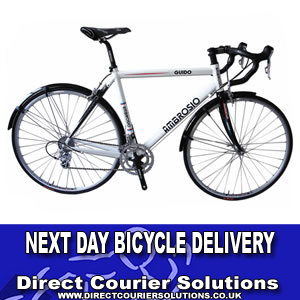 Bicycle Courier