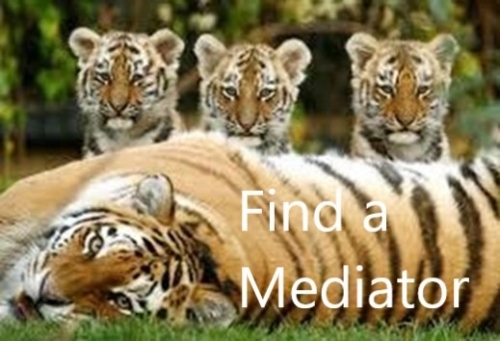 Find A Mediator