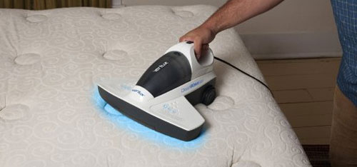 Carpet Cleaner Service