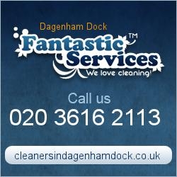 Fantastic Services Dagenham Dock