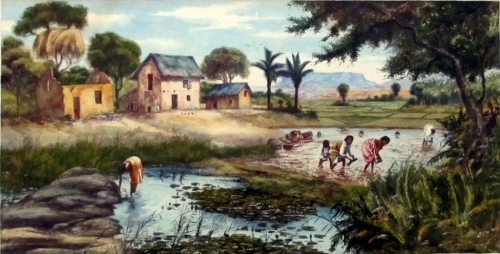 Malagasy watercolour c1910.